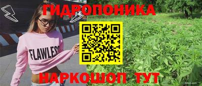 стафф Будённовск