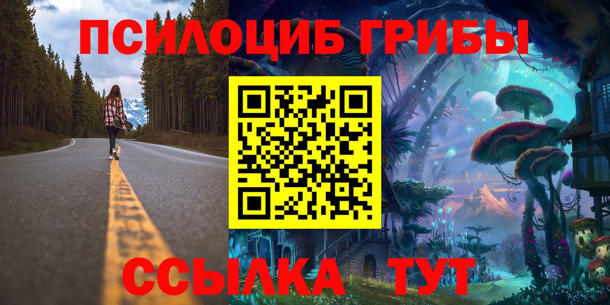 Псилоцибиновые грибы GOLDEN TEACHER  Вход с VPN  Тавда 